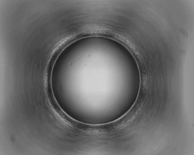 X0000111000629200906191551