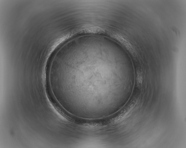 X0000111000630200906191551