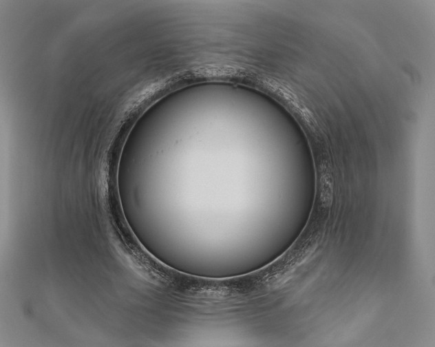 X0000111000631200906191551