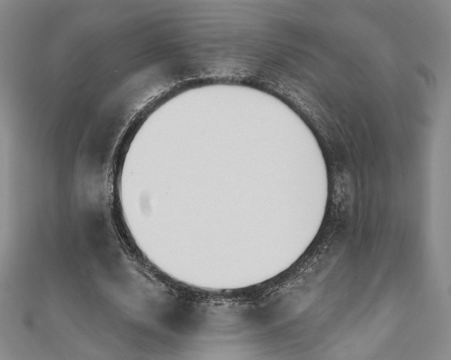 X0000111000632200906191551