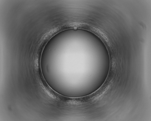 X0000111000633200906191551