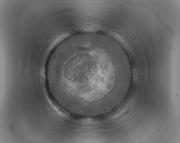 X0000111000634200906191551
