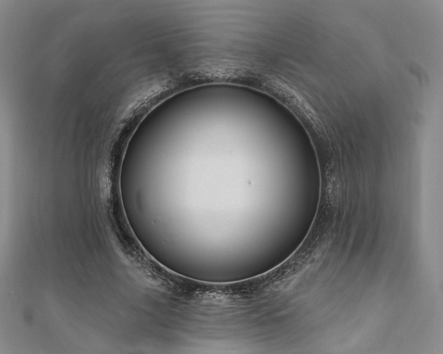 X0000111000635200906191551