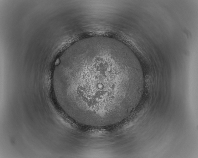 X0000111000642200906191552