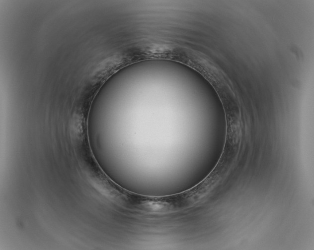 X0000111000654200906191552