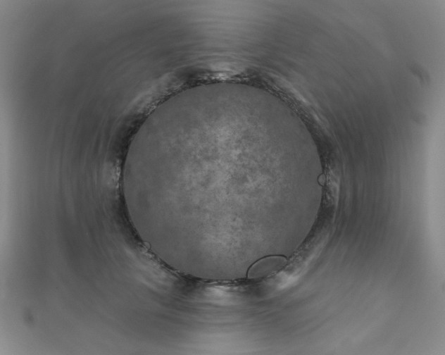 X0000111000657200906191552