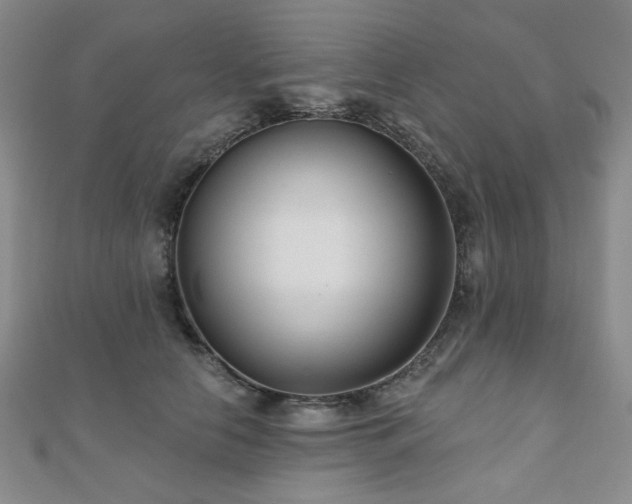 X0000111000658200906191552