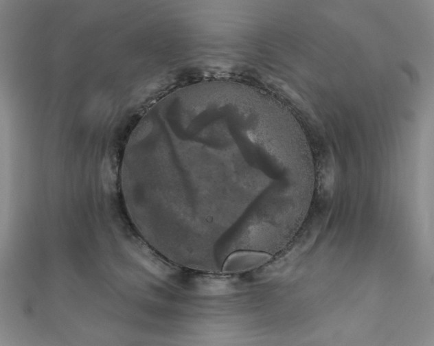 X0000111000661200906191552