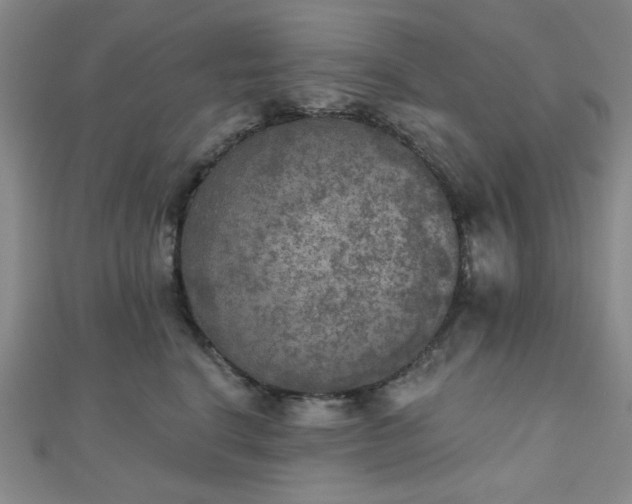 X0000111000664200906191552
