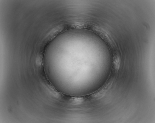 X0000111000665200906191552