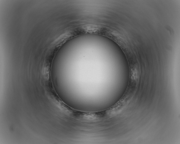 X0000111000666200906191552