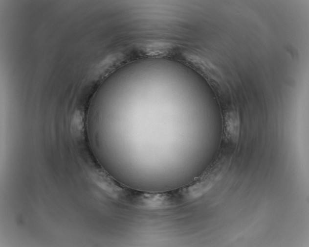 X0000111000667200906191552
