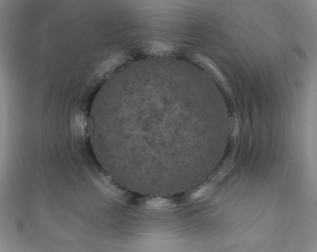 X0000111000669200906191552