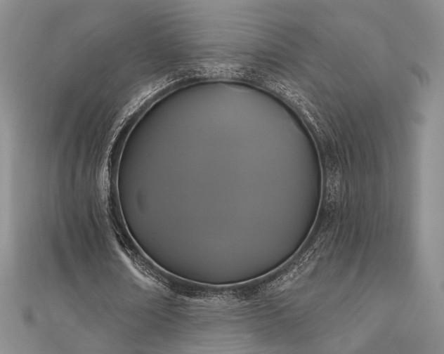 X0000111000674200906191551