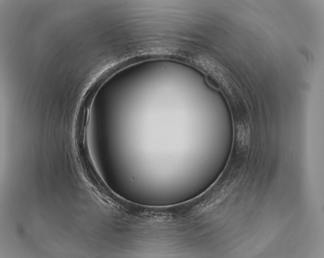 X0000111000676200906191551