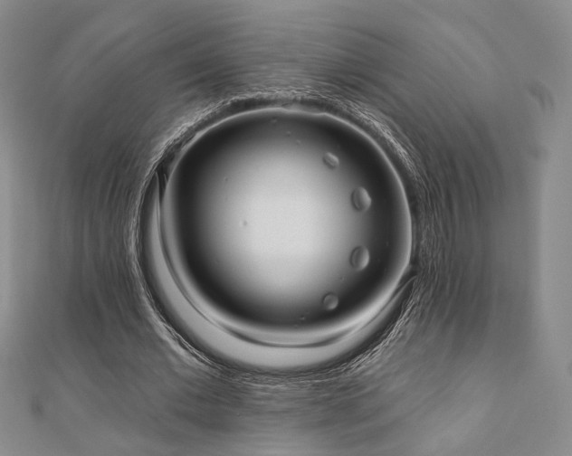 X0000111000677200906191551