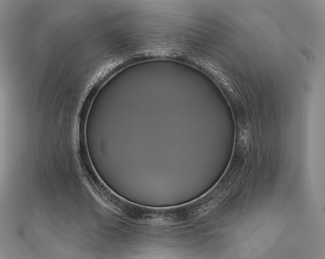 X0000111000678200906191551
