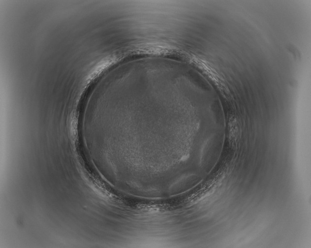 X0000111000679200906191551