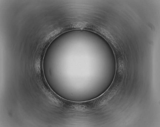 X0000111000681200906191551