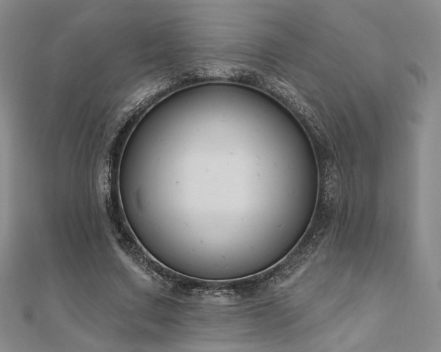 X0000111000683200906191551