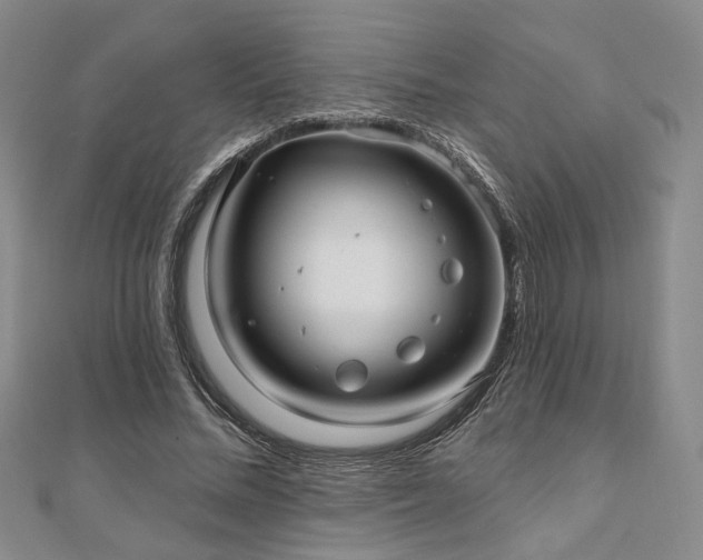 X0000111000684200906191551