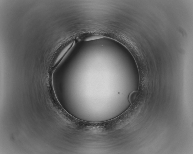X0000111000689200906191551