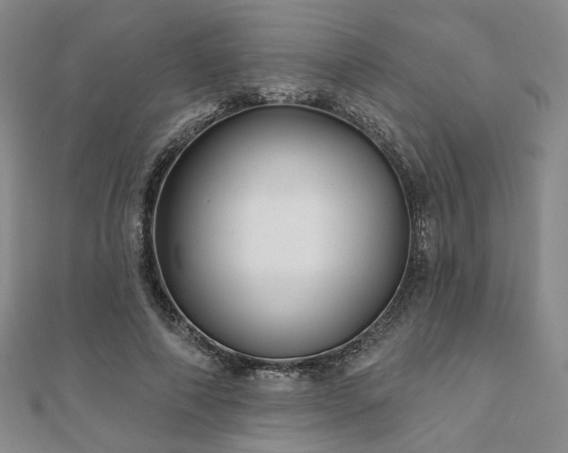 X0000111000690200906191551
