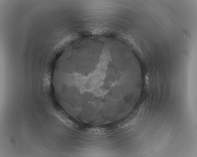X0000111000691200906191551
