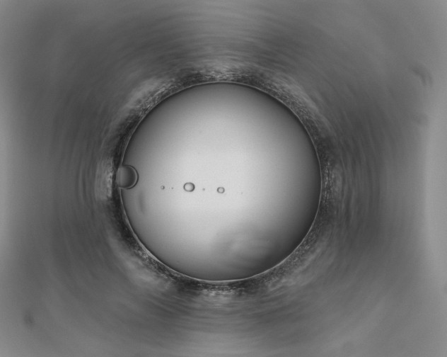 X0000111000694200906191551