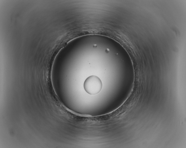 X0000111000697200906191551