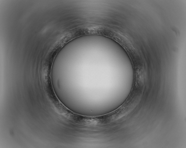 X0000111000698200906191551
