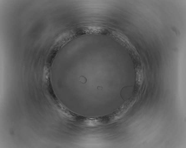 X0000111000701200906191551