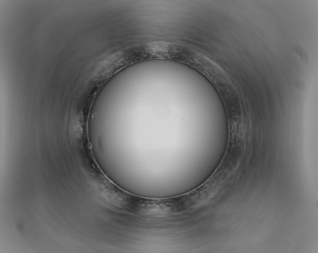 X0000111000702200906191551