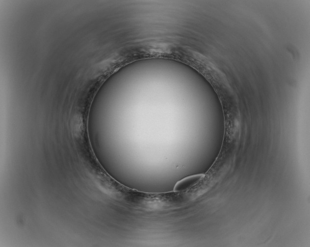 X0000111000704200906191551