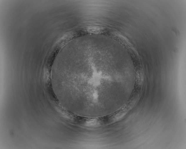 X0000111000705200906191551