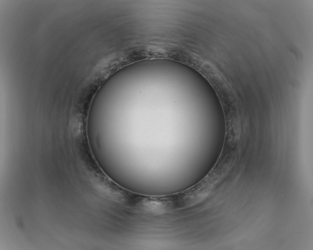 X0000111000706200906191551