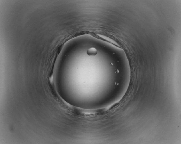 X0000111000709200906191551