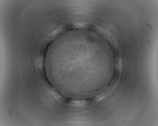 X0000111000712200906191551