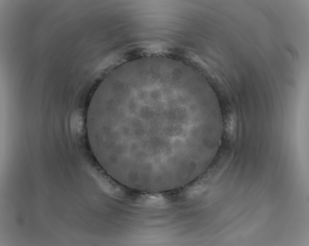 X0000111000715200906191551