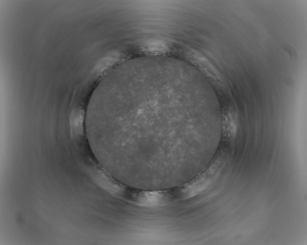 X0000111000717200906191551