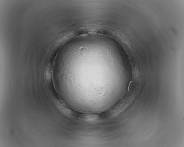 X0000111000719200906191551
