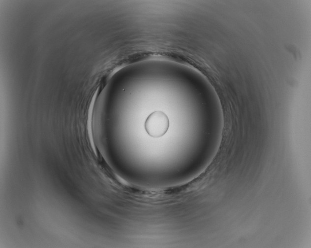 X0000111000720200906191551