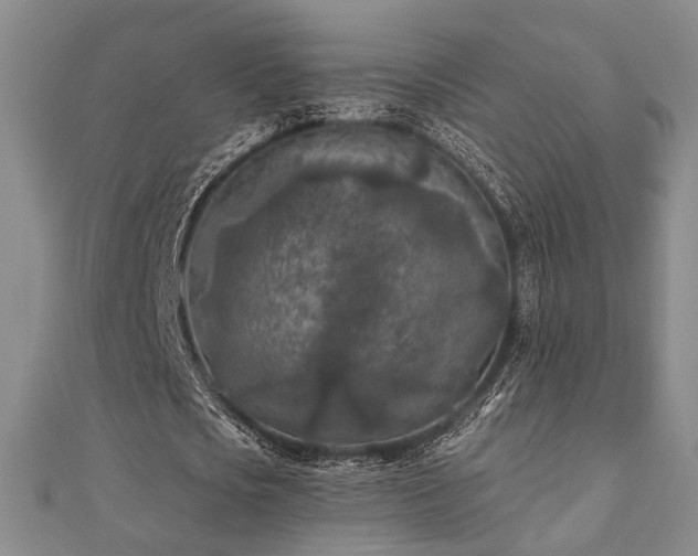 X0000111000721200906191550
