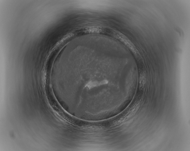 X0000111000722200906191550