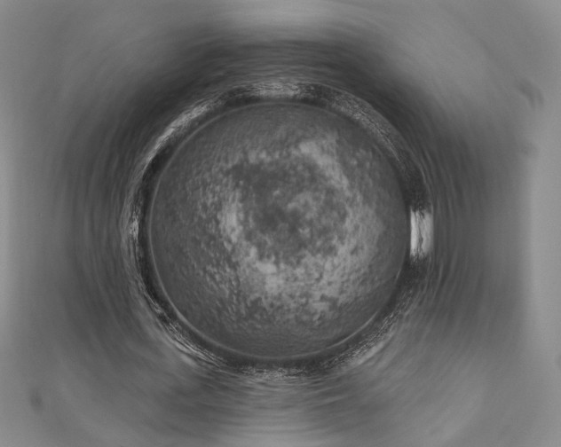 X0000111000723200906191550