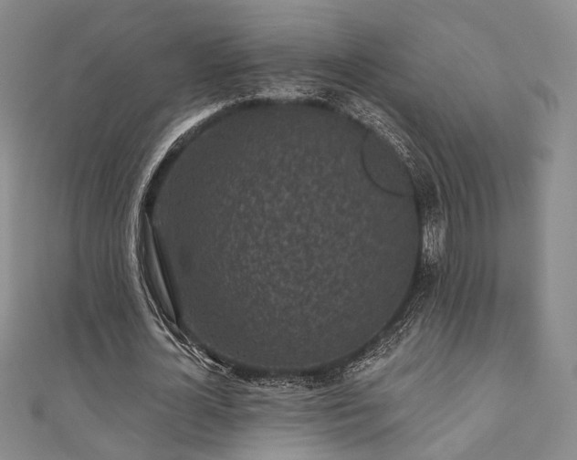 X0000111000724200906191550