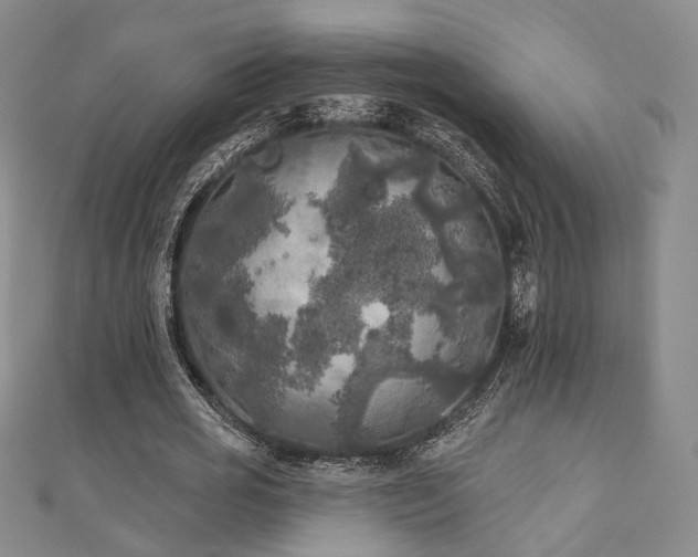 X0000111000725200906191550