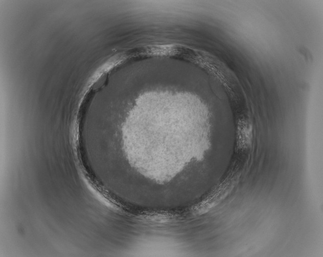 X0000111000726200906191550