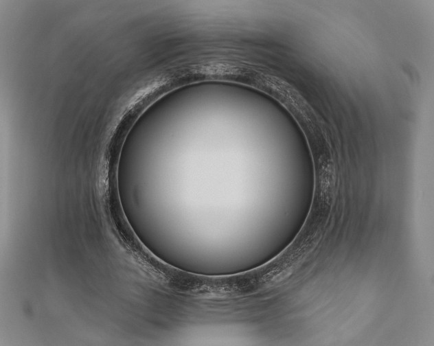 X0000111000727200906191550