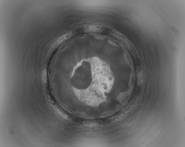 X0000111000729200906191550